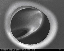 The smooth edged pores of a PLGA tissue scaffold formed by the supercritical carbon dioxide method